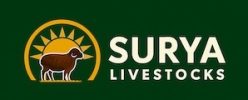 Surya LiveStocks